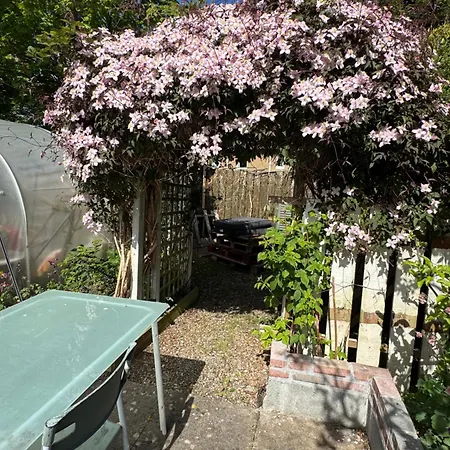 Charming 3 Bed , Private Budget , Free Street Parking , Fibre Optic Internet , Garden Bed & Breakfast Edinburg