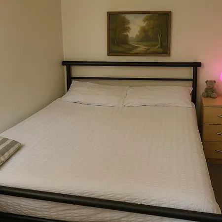 Comfy 2 Bedroom Flat Near City Center *