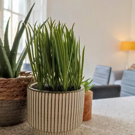 Magic Of Meadows 4 Bedroom Flat *