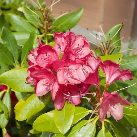 Appartamento Victorian With Car Parking In Driveway, Murrayfield *