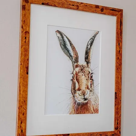 Apartment Craig S Lair Boho Jungle Edinburgh