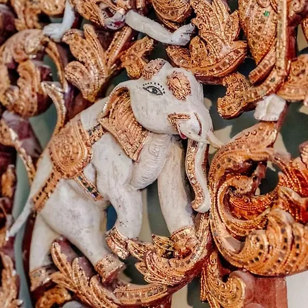 Apartment Craig S Lair Boho Jungle *