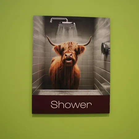 Hostel Safestay Cowgate Edynburg