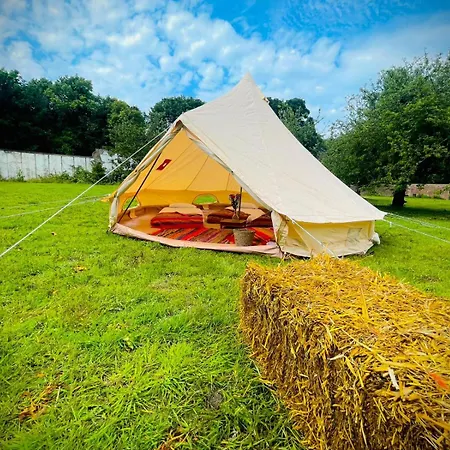 Festival Glamping By Social *