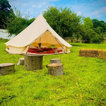 Camping Festival Glamping By Social *