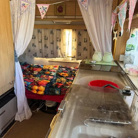 Luxury tent 2 Tent In The Garden & 2 Single Guest Beds In The House Edinburgh