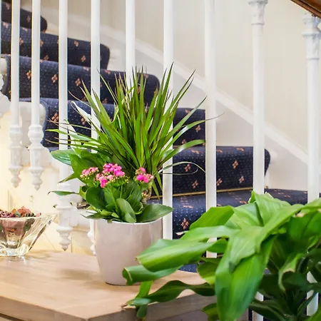 Pensionat Allison House 17