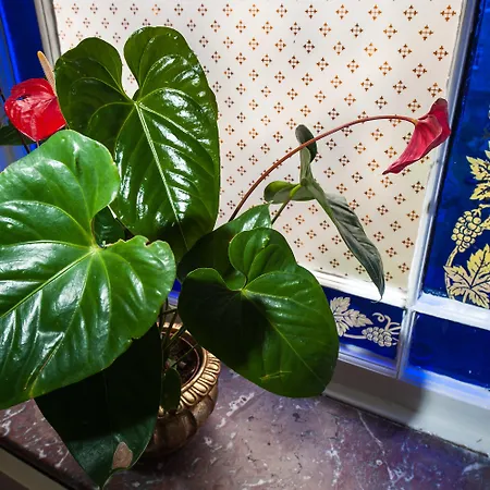 Kildonan 4* إدنبرة