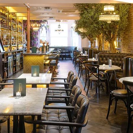 Hotel Black Ivy 4*