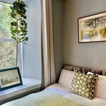 Marvellous Meadows 1 Apartment