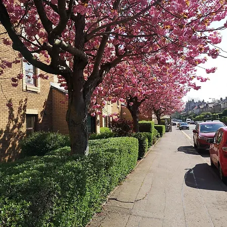 Lovely - Craighouse Gardens *