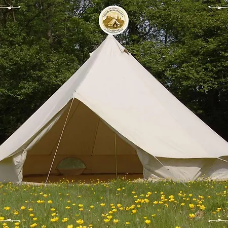 Camping Festival Glamping By Social