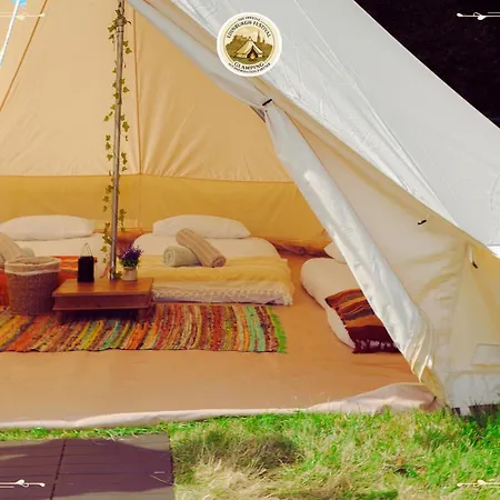 Camping Festival Glamping By Social *