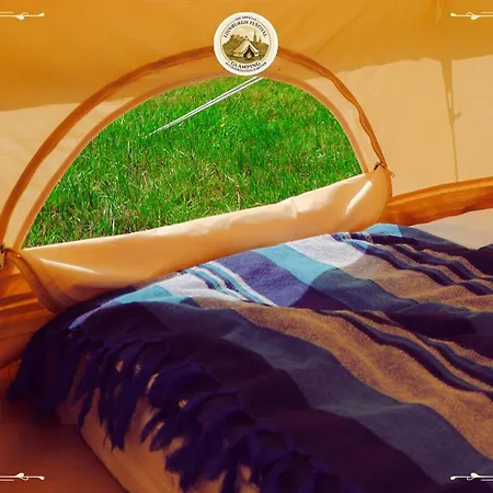 Camping Festival Glamping By Social *