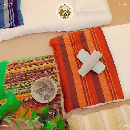 캠프장 Festival Glamping By Social 에든버러