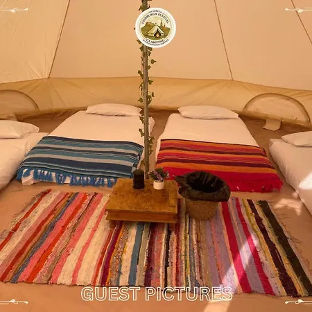 Festival Glamping By Social