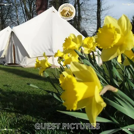 Festival Glamping By Social *