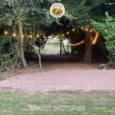 Festival Glamping By Social Édimbourg