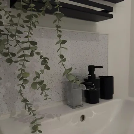 Cosy Modern On Leith Walk * 爱丁堡