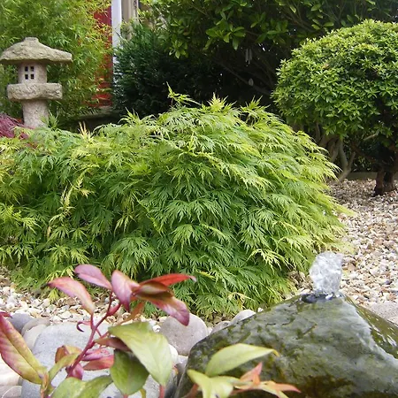 Amaragua 5* Edinburgh