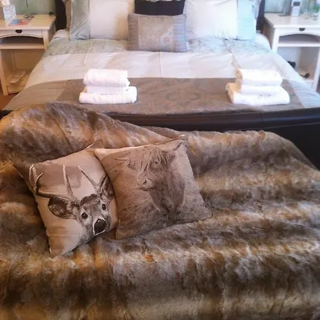 Panzió Wilton Road *