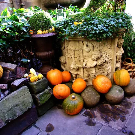 Отель The Witchery By The Castle 5*