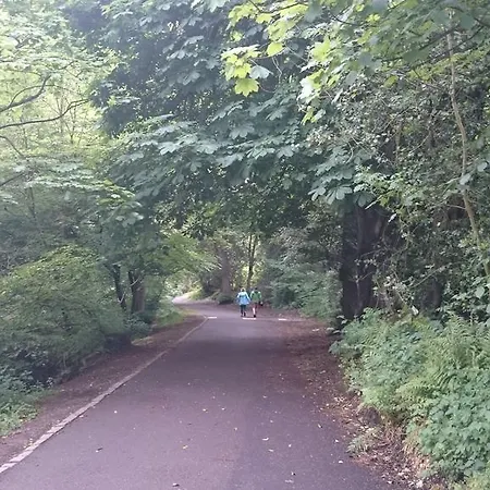 Violet Bank Morningside אדינבורו