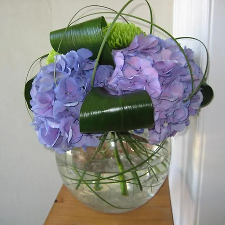 Kew House 게스트하우스 에든버러