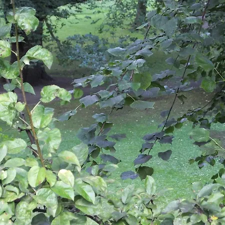 ゲストハウス Queens 4*