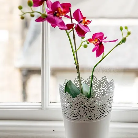 Luxury New Town 1 Bed 公寓