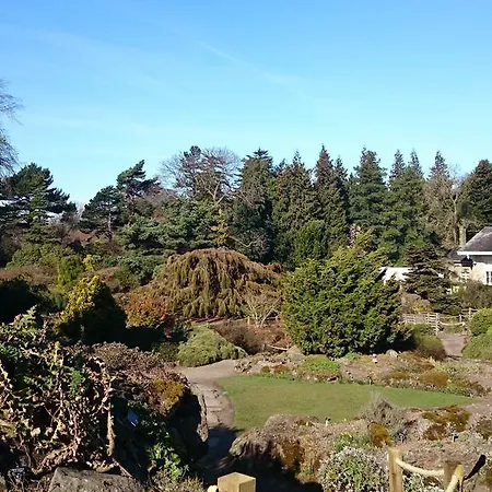 Daire Violet Bank New Town