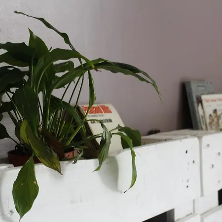 Casa Hamilton فندق مبيت وإفطار 4*