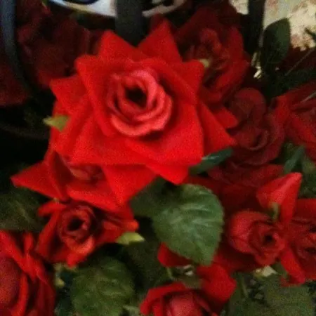 Almond House * 에든버러