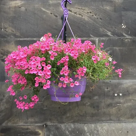 Bed & Breakfast Hermitage 3*