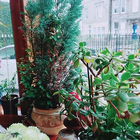 Bed and Breakfast Swan Lake 3*