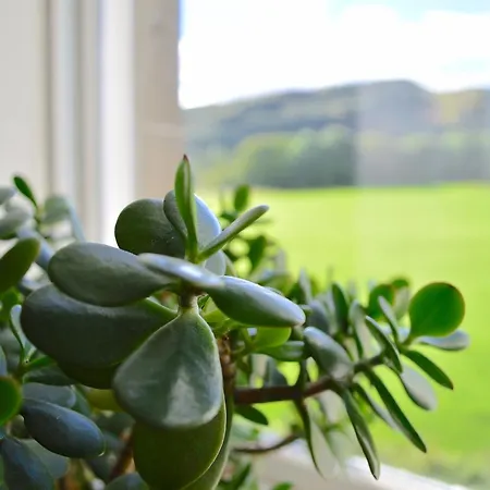 Sanctuary In The Scottish Capital, Sleeps 3 Guests * אדינבורו