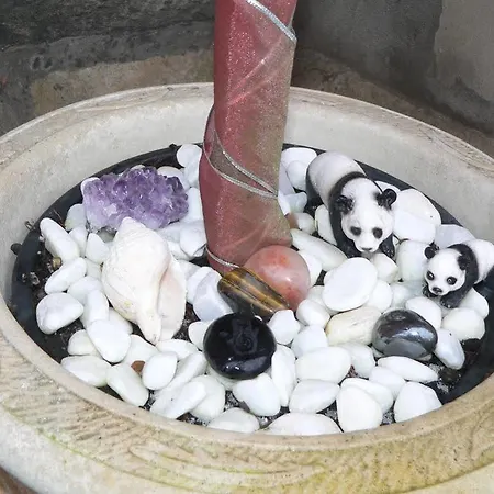 Panda Alojamento de Acomodação e Pequeno-almoço Edimburgo