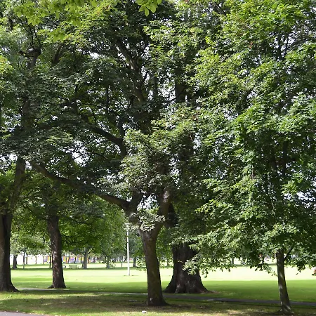 Marchmont Edinburgh