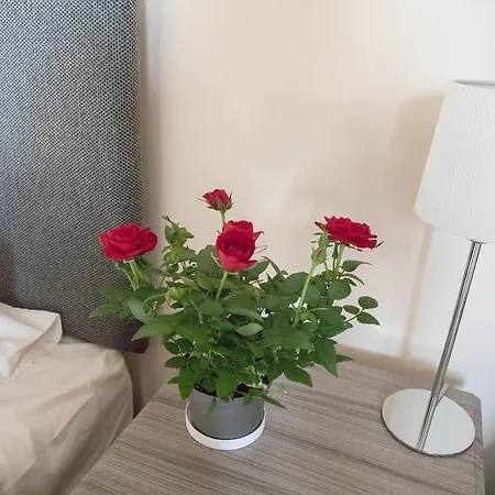 Lejlighed South Groathill - Lovely 2 Bed With Castle View Edinburgh