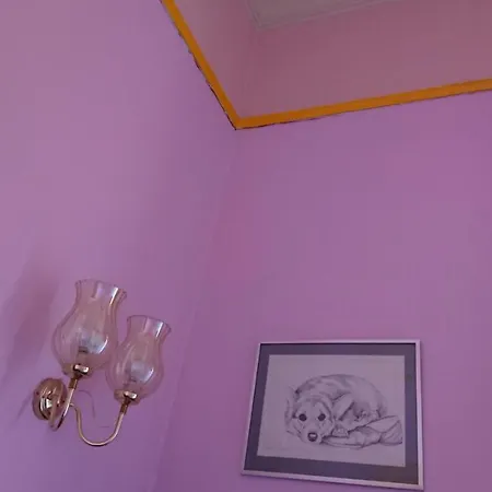 Bed and Breakfast Swan Lake 3*