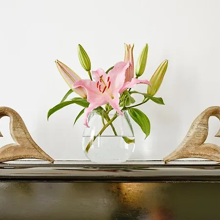 Joivy Luxury Flats On George Street Apartmán *