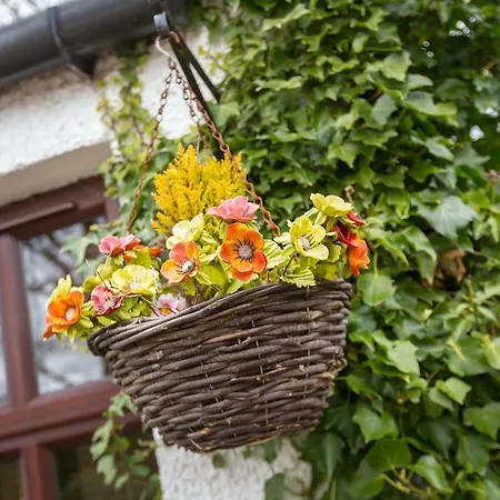 Justb Deva Edinburgh Guest house Edinburgh