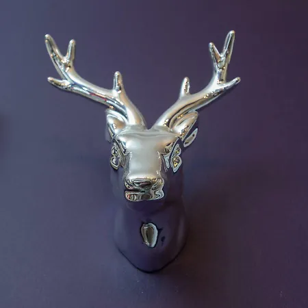 The Bonnie Bide Awa' Lejlighed *