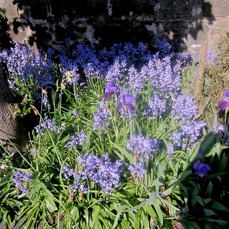 The White House Edinburgh