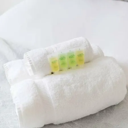 Elegant 3bdroom/2bathroom Lothian Rd Daire Edinburgh