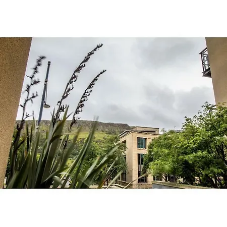 And Stylish One Bedroom