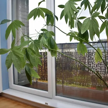 Spacious 2br W Parking, 10 Mins To Centre By Car Edimburgo