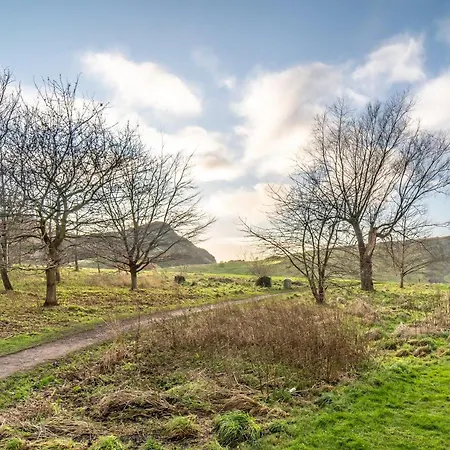 The Waverley Park Terrace Daire *