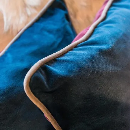 Vakantiehuis 3c Dublin Street Edinburgh