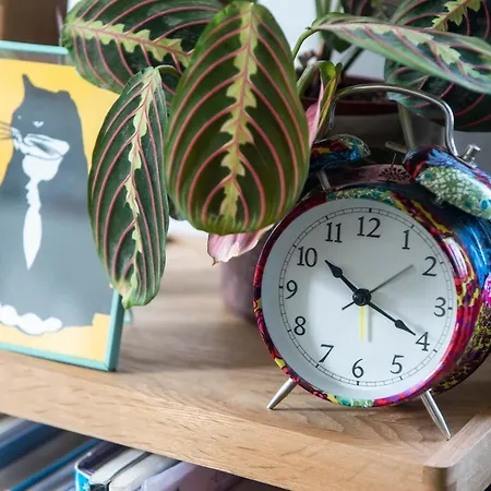 Apartament Nature-inspired Flat Near Leith Walk By Guestready *